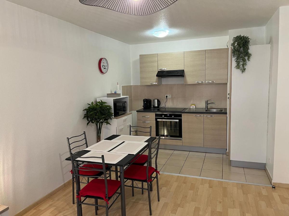 Le Gite De Marc - Parking Prive Gratuit + Terrasse 科尔马 外观 照片